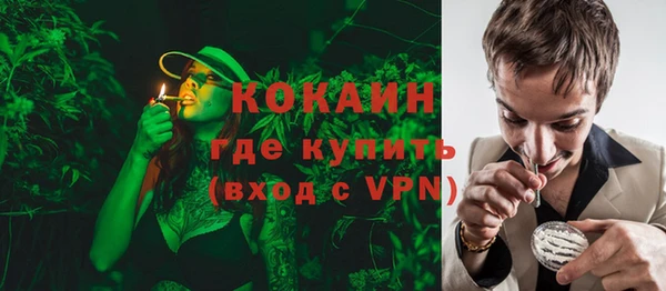 прущий лед Новозыбков