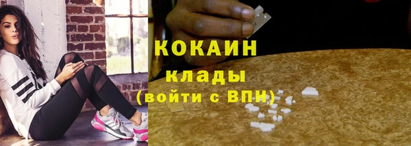 дмт Аркадак